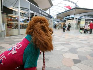 20121127_03.jpg