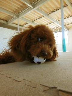 20121211_01.jpg