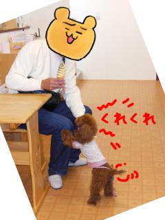 20121211_04.jpg