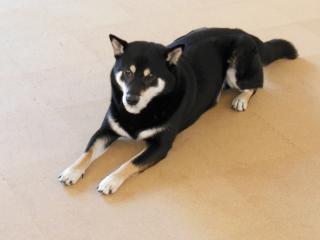 20121211_05.jpg