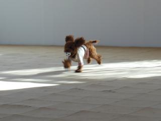 20121211_06.jpg