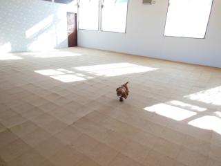 20121211_07.jpg