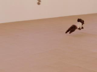 20121211_08.jpg