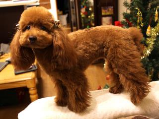 20121222_04.jpg