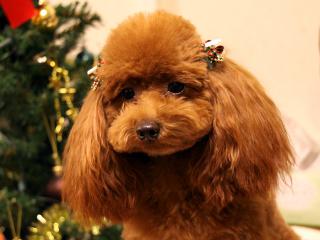 20121222_05.jpg