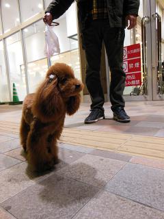 20121222_12.jpg