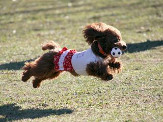 20121227_01.jpg