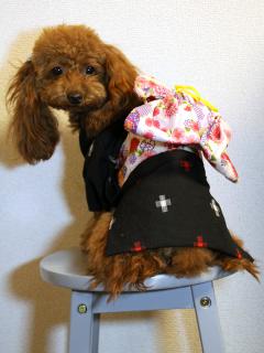 20121231_03.jpg