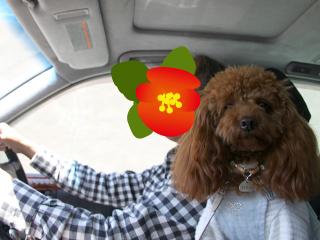 201230413_01.jpg