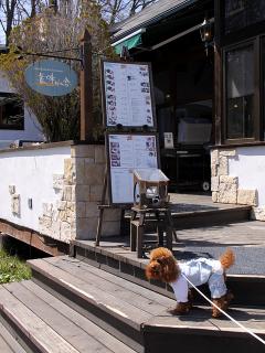 201230413_03.jpg