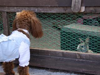 201230413_10.jpg