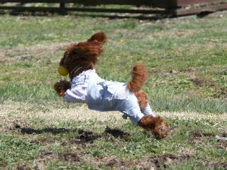 201230413_13.jpg