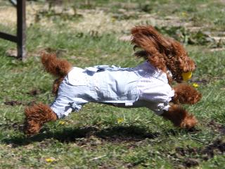 201230413_14.jpg