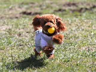 201230413_15.jpg