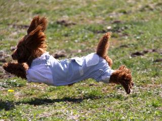 201230413_17.jpg