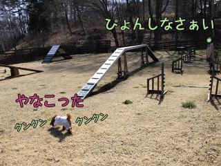 201230413_25.jpg
