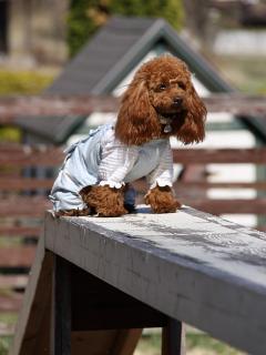 201230413_26.jpg