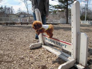 201230413_29.jpg
