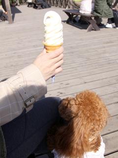 201230413_33.jpg