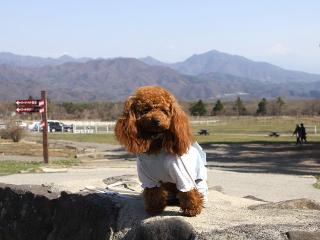 201230413_36.jpg
