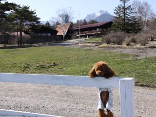 201230413_37.jpg