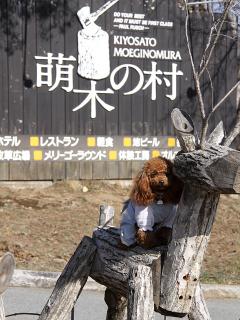 201230413_38.jpg