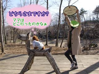 201230413_42.jpg