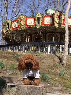 201230413_45.jpg