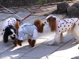 201230413_47.jpg