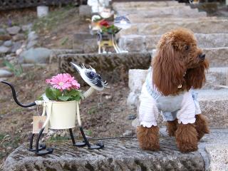 201230413_54.jpg