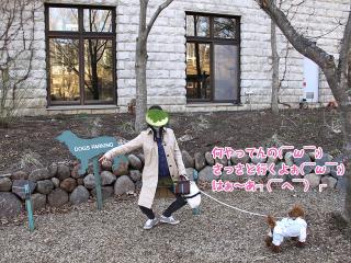 201230413_55.jpg