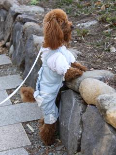 201230413_59.jpg