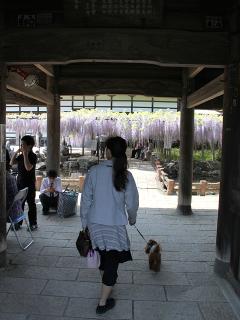 201230509_04.jpg
