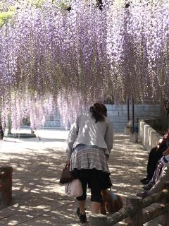 201230509_05.jpg