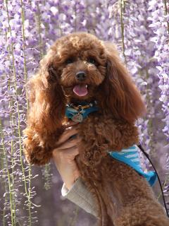 201230509_06.jpg