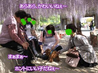 201230509_07.jpg