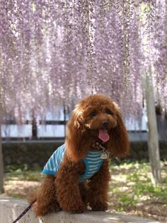 201230509_08.jpg