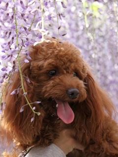 201230509_10.jpg