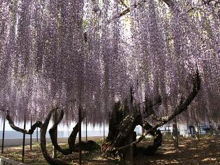 201230509_11.jpg