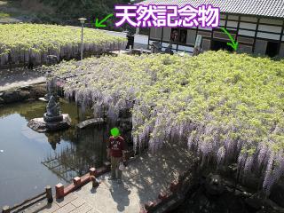 201230509_12.jpg