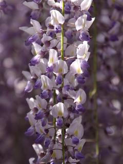 201230509_13.jpg