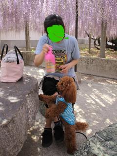 201230509_14.jpg