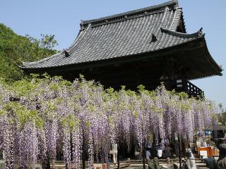 201230509_15.jpg