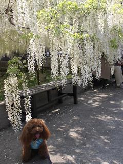 201230509_16.jpg