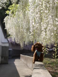 201230509_17.jpg