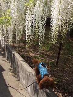 201230509_19.jpg