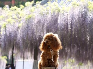 201230509_21.jpg