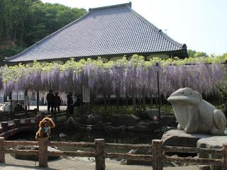 201230509_25.jpg