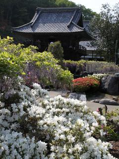 201230509_28.jpg
