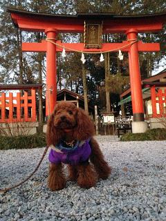 20130101_02.jpg